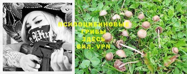 спайс Баксан