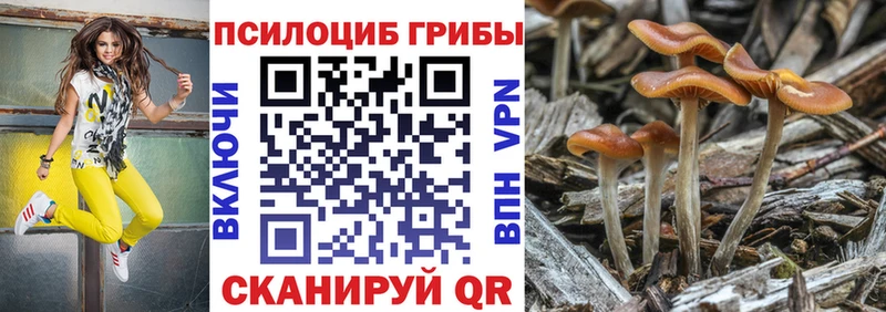 Псилоцибиновые грибы мухоморы Воркута